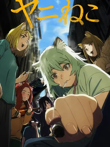 Chainsmoker Cat
