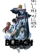 Bleach: Thousand-Year Blood War - The Conflict
