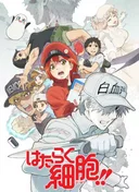 Cells at Work!!