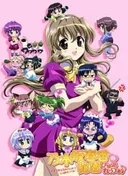Haruka Nogizaka's Secret Purezza