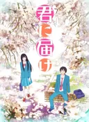 Kimi ni Todoke: From Me to You