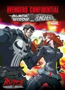 Marvel Avengers Confidential: Black Widow & Punisher