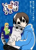 Nights with a Cat