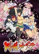 Senran Kagura: Ninja Flash